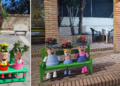 Parghelia in fiore: vie e piazze si accendono di colori – Foto