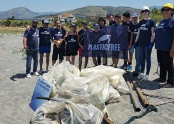 I volontari di Plastic Free Calabria durante un clean up sulle spiagge