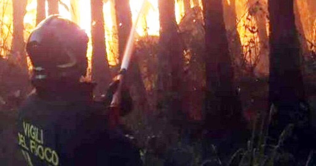 I vigili del fuoco in azione