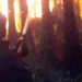 I vigili del fuoco in azione