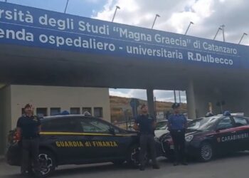 L'operazione della Guardia di finanza e dei Carabinieri a Catanzaro