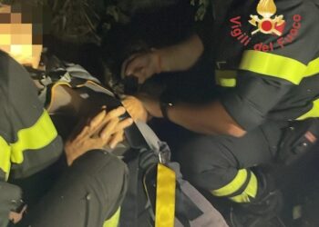 Si reca in un terreno di sua proprietà e non fa più ritorno: anziano ritrovato in un dirupo