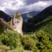 Aree interne. Il Pd Calabria presenta una proposta di legge per assumere oltre 2mila forestali