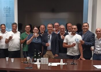 Ance Vibo, Domenico Ceravolo nuovo presidente: «Prendiamo spunto dalle eccellenze italiane»