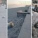 Gli atti vandalici verificatisi in via Vespucci a Vibo Marina