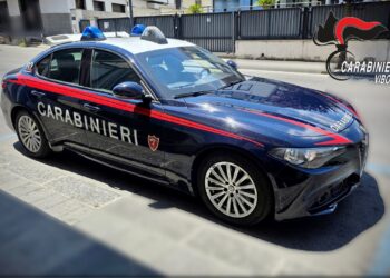 Omissione di soccorso: identificato e denunciato nel Vibonese giovane pirata della strada