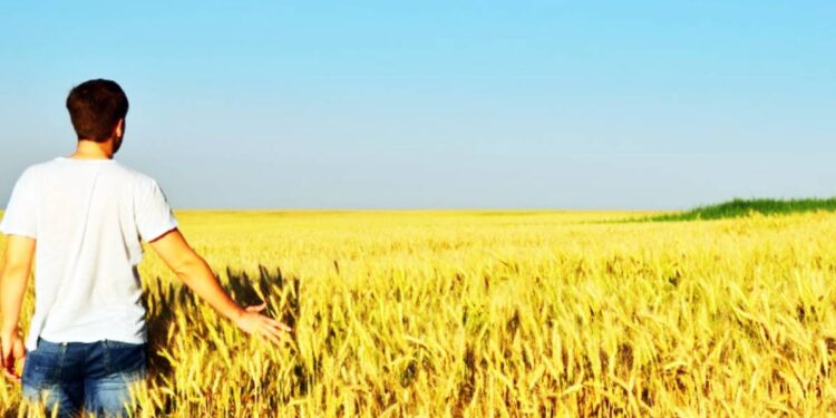Un giovane agricoltore in un campo