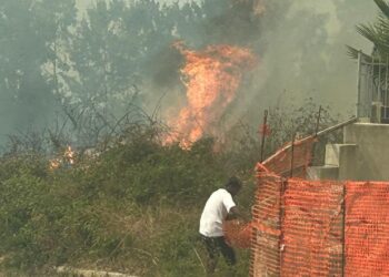 Vibo. Vasto incendio a contrada Olivarella: Vigili del fuoco al lavoro per domare le fiamme – Foto