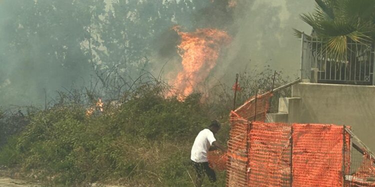 Vibo. Vasto incendio a contrada Olivarella: Vigili del fuoco al lavoro per domare le fiamme – Foto