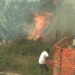 Vibo. Vasto incendio a contrada Olivarella: Vigili del fuoco al lavoro per domare le fiamme – Foto