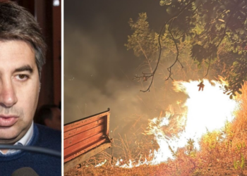 «Vibo e provincia nella morsa degli incendi»: Lo Schiavo (SI) denuncia carenze strutturali