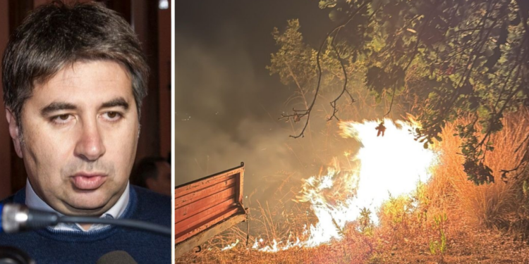 «Vibo e provincia nella morsa degli incendi»: Lo Schiavo (SI) denuncia carenze strutturali