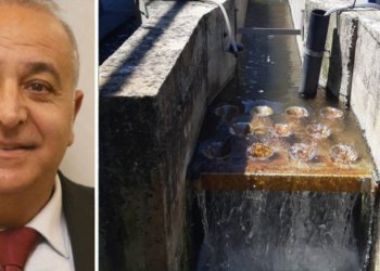 Cattiva depurazione in Calabria, Mammoliti (Pd): «Interventi inefficaci e a stagione inoltrata»