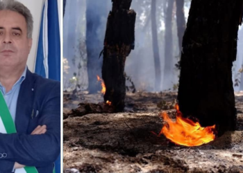 Incendi a Nicotera, il sindaco Marasco: «Pineta devastata da criminali»