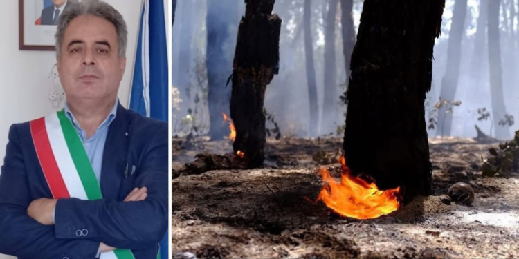 Incendi a Nicotera, il sindaco Marasco: «Pineta devastata da criminali»