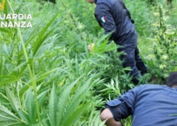 I finanzieri in azione a Vibo Valentia