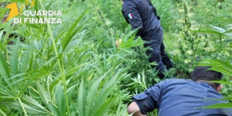 I finanzieri in azione a Vibo Valentia