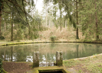 Il Parco Naturale Regionale delle Serre