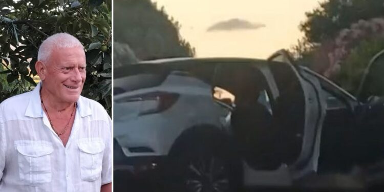 Pino Alviano dei Verdi ha segnalato l'ennesimo incidente tra Porto Salvo e Briatico