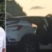Pino Alviano dei Verdi ha segnalato l'ennesimo incidente tra Porto Salvo e Briatico