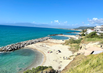 Spiagge calabresi, scoperte nuove specie animali: la regione in cima alle classifiche mondiali