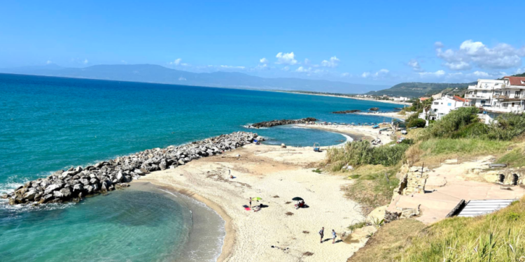 Spiagge calabresi, scoperte nuove specie animali: la regione in cima alle classifiche mondiali