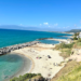 Spiagge calabresi, scoperte nuove specie animali: la regione in cima alle classifiche mondiali