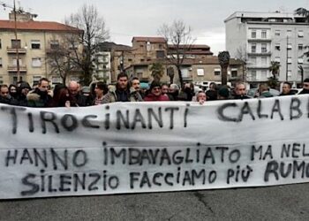Il Comune di Vibo stabilizza 9 tirocinanti: «Atto di giustizia e responsabilità»