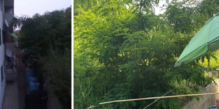 Tropea: rovi e sterpaglie a rischio incendio in località Vulcano e su Viale Don Mottola