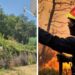 Lotta agli incendi. Dal Comune di Tropea nuove disposizioni: ecco divieti e sanzioni