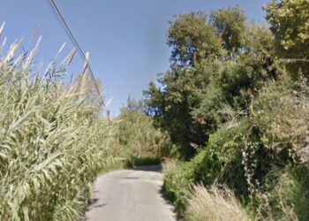 Via Ricciolina a Santa Maria di Ricadi