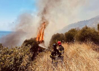 Incendi devastanti nel Vibonese: oltre 50 interventi in sole 24 ore – Foto