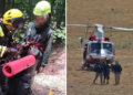 Scout si perdono nel Parco del Pollino: recuperati con l’elicottero dai Vigili del fuoco