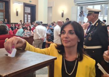 Laura Pugliese, consigliera comunale di Vibo Valentia