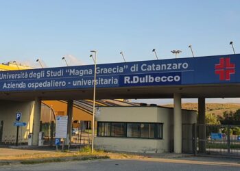 L'azienda ospedaliera Dulbecco di Catanzaro