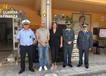 Jonadi, esercizio non a norma: sequestrate due tonnellate di frutta e verdura – VIDEO