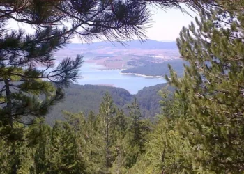 Qualità delle acque, «i laghi in Calabria sono puliti»: ecco i dati della campagna Legambiente