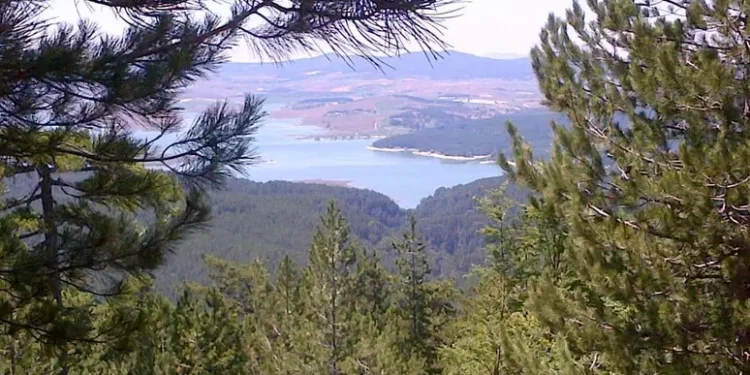 Qualità delle acque, «i laghi in Calabria sono puliti»: ecco i dati della campagna Legambiente