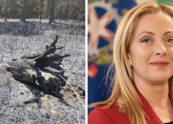 Dopo i roghi, Caria si mobilita: inviata una lettera a Giorgia Meloni