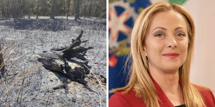 Dopo i roghi, Caria si mobilita: inviata una lettera a Giorgia Meloni