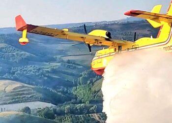 Vasto incendio a Mileto vicino allo svincolo A2: distrutti 20 ettari di bosco e uliveto