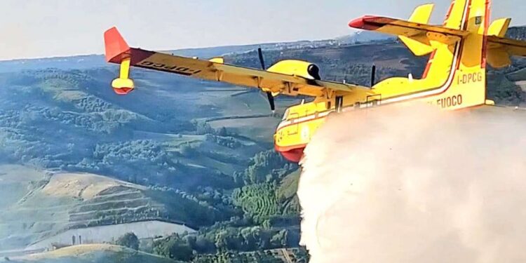 Vasto incendio a Mileto vicino allo svincolo A2: distrutti 20 ettari di bosco e uliveto