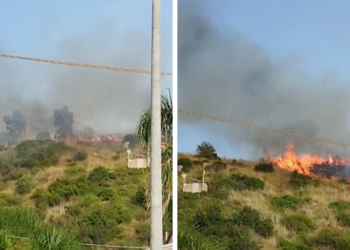 Vasto incendio a Zambrone: le fiamme minacciano alcune abitazioni – VIDEO