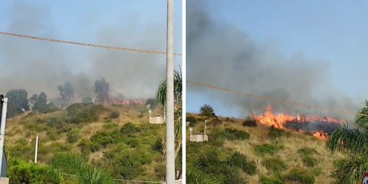 Vasto incendio a Zambrone: le fiamme minacciano alcune abitazioni – VIDEO