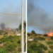 Vasto incendio a Zambrone: le fiamme minacciano alcune abitazioni – VIDEO