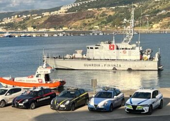 Vibo, vasta operazione delle forze dell’ordine sul litorale: accertate decine di illeciti