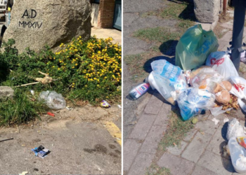 A Ricadi è «abbandono totale: ovunque sporcizia, erbacce e rifiuti». Denuncia di Mobrici – Foto