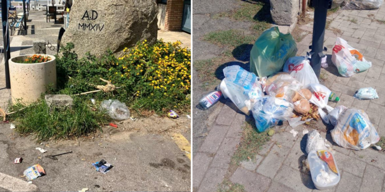 A Ricadi è «abbandono totale: ovunque sporcizia, erbacce e rifiuti». Denuncia di Mobrici – Foto