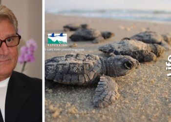 Santa Domenica di Ricadi: Gerardo Sacco all’evento “L’eleganza che protegge il mare”