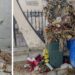 Il cimitero di Tropea ancora «in condizioni di degrado e abbandono»: dura denuncia di Piserà